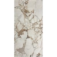 CHAMPAGNE - Imagen 2