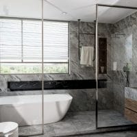 ESTELARIS - Imagen 3